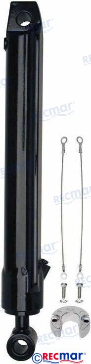 Sierra MerCruiser Power Trim Ram Cylinder O-Ring Seal Kit Alpha Bravo - Foto 12